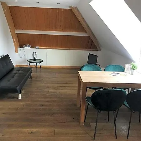 Hotel 't Veerhuys 3*