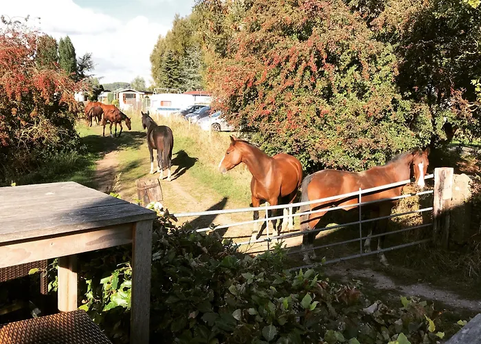 T维胡伊斯酒店 3* Beusichem