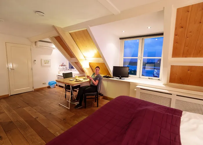 T维胡伊斯酒店 3* Beusichem