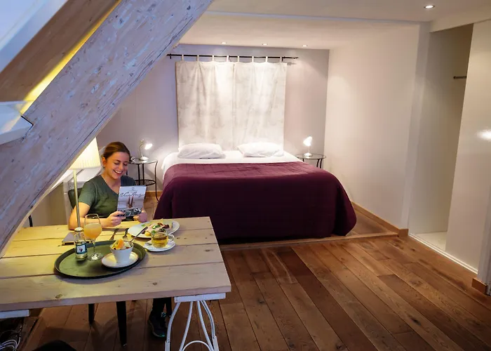 Hotel 't Veerhuys 3*